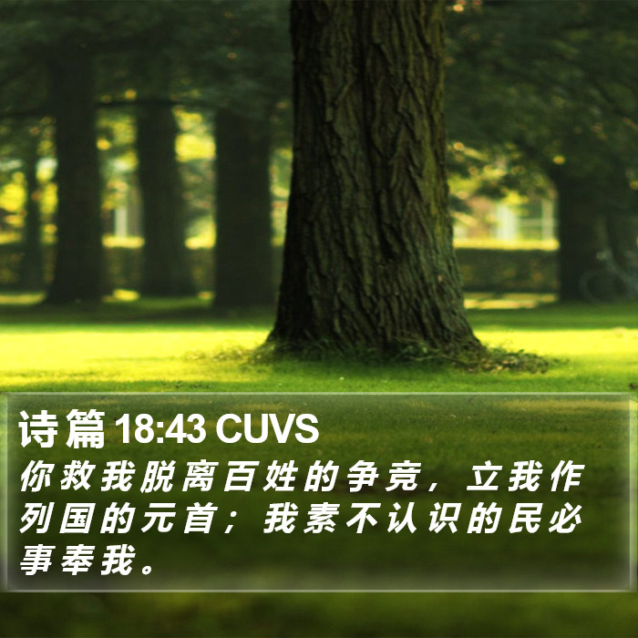 诗 篇 18:43 CUVS Bible Study