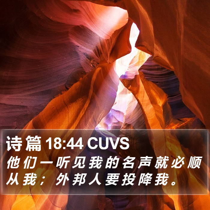 诗 篇 18:44 CUVS Bible Study