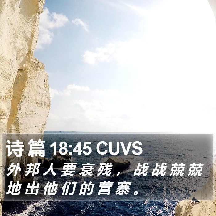 诗 篇 18:45 CUVS Bible Study