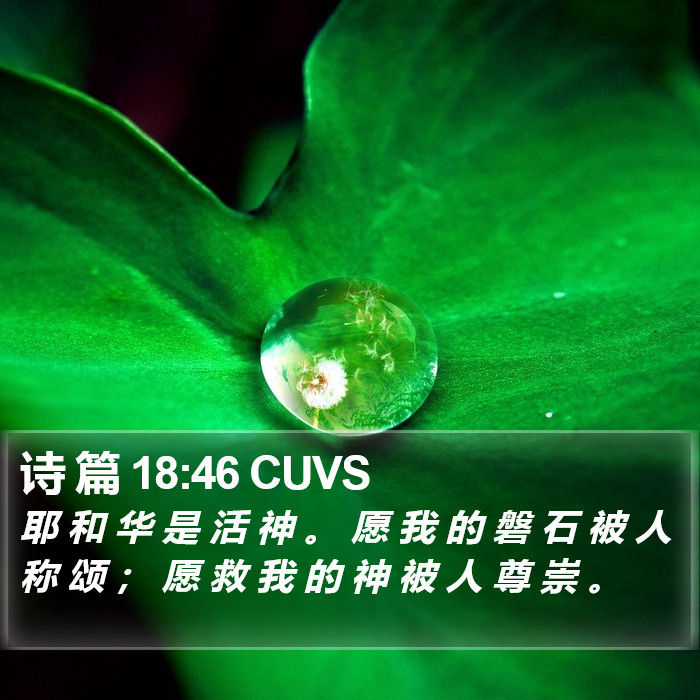 诗 篇 18:46 CUVS Bible Study