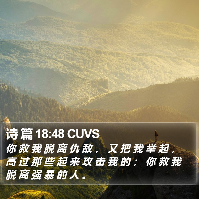 诗 篇 18:48 CUVS Bible Study