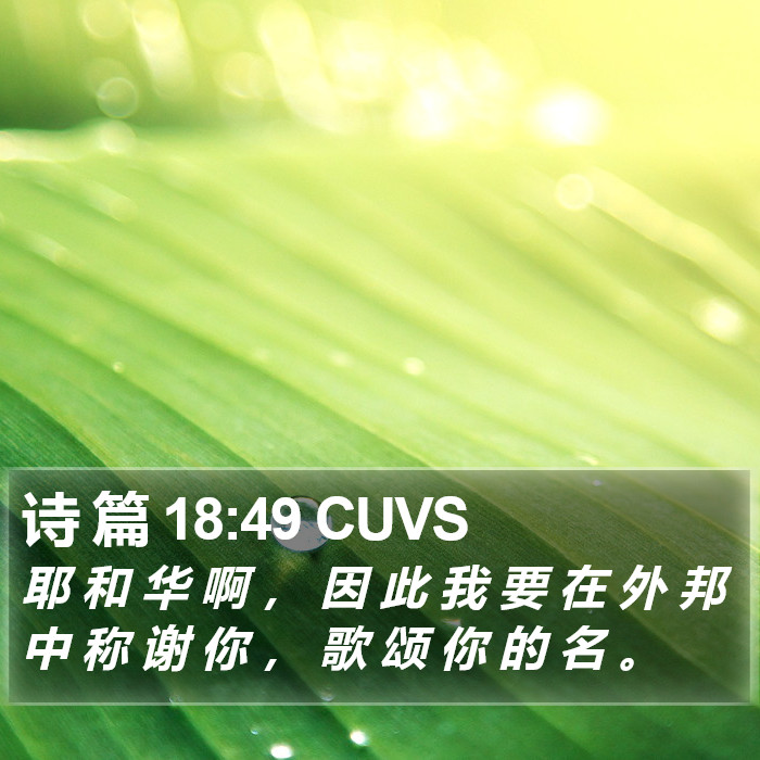 诗 篇 18:49 CUVS Bible Study