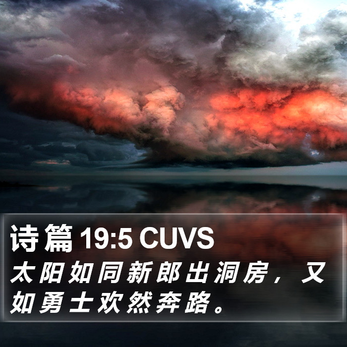 诗 篇 19:5 CUVS Bible Study