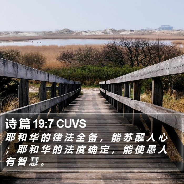 诗 篇 19:7 CUVS Bible Study