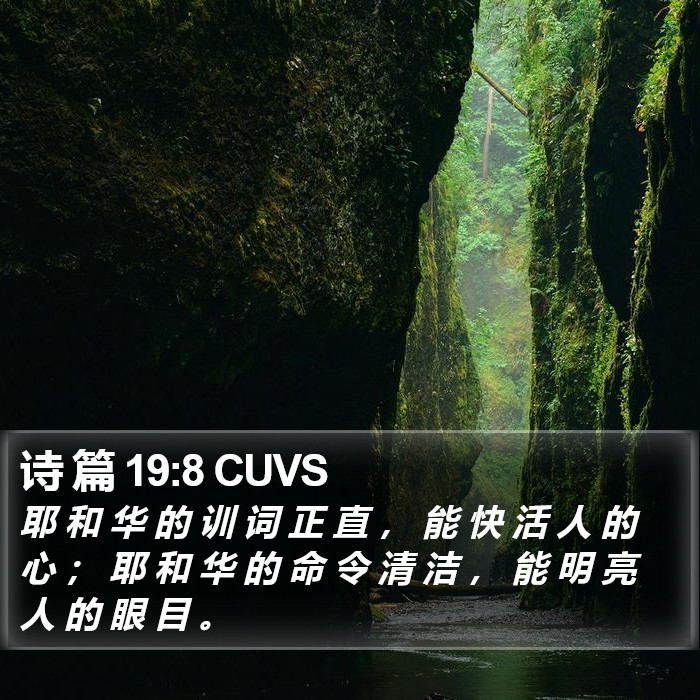 诗 篇 19:8 CUVS Bible Study