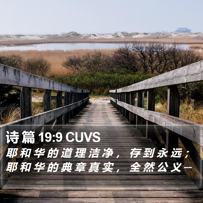 诗 篇 19:9 CUVS Bible Study
