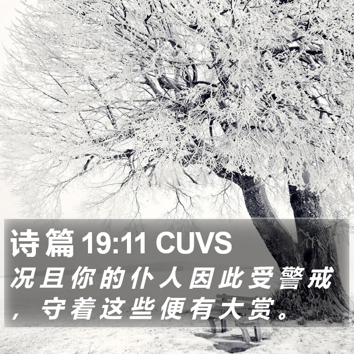 诗 篇 19:11 CUVS Bible Study