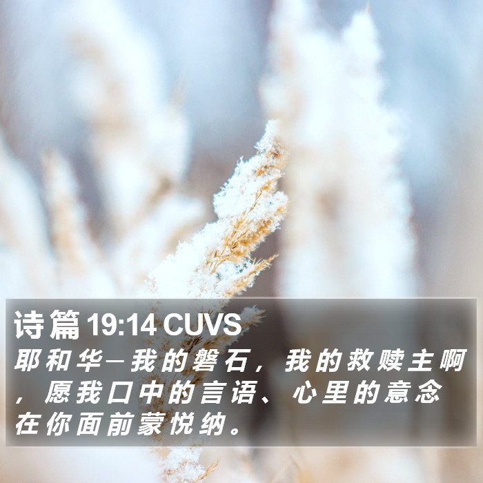 诗 篇 19:14 CUVS Bible Study
