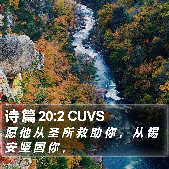 诗 篇 20:2 CUVS Bible Study