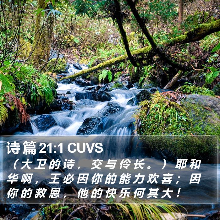 诗 篇 21:1 CUVS Bible Study