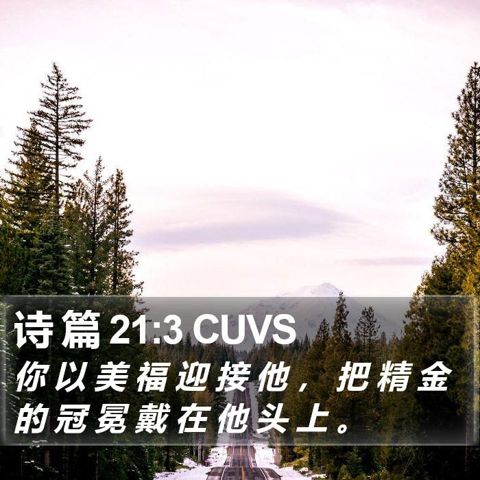 诗 篇 21:3 CUVS Bible Study