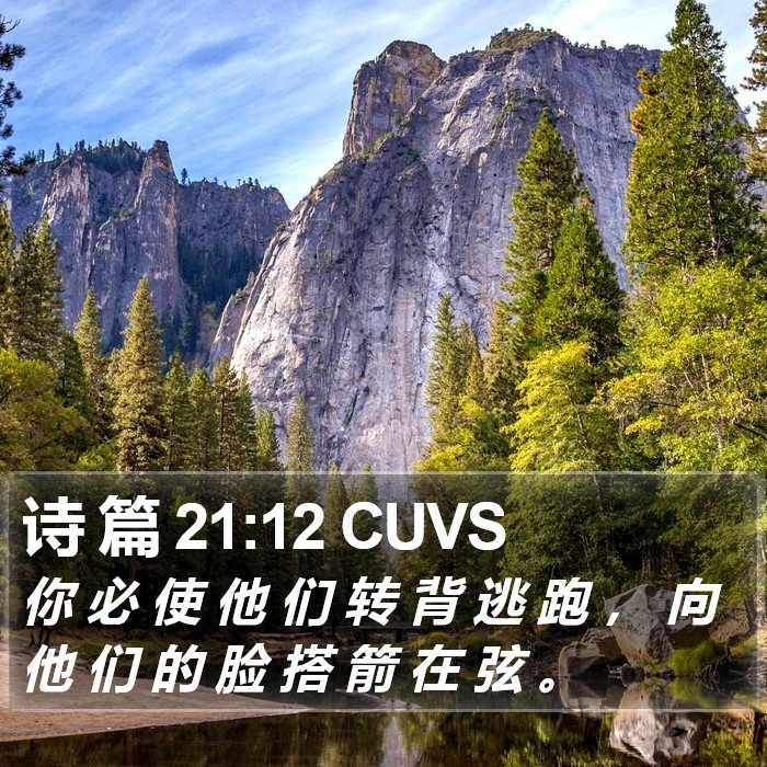 诗 篇 21:12 CUVS Bible Study