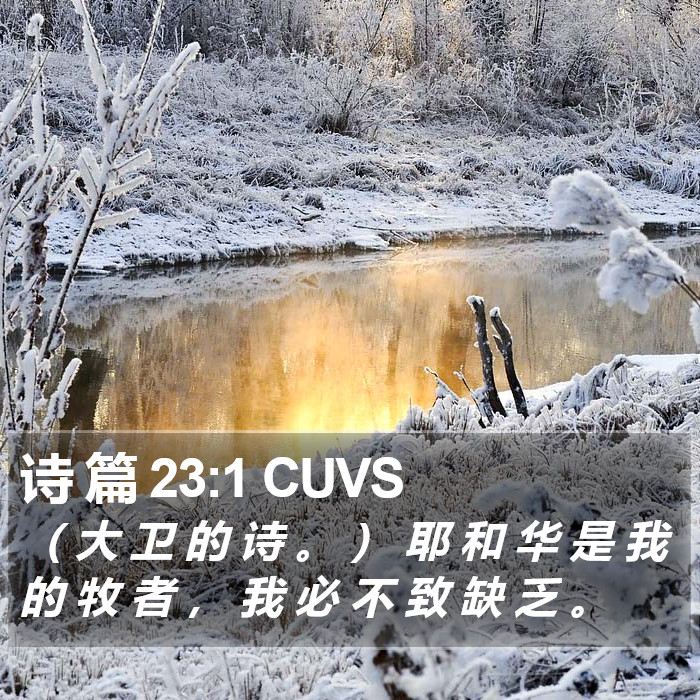 诗 篇 23:1 CUVS Bible Study