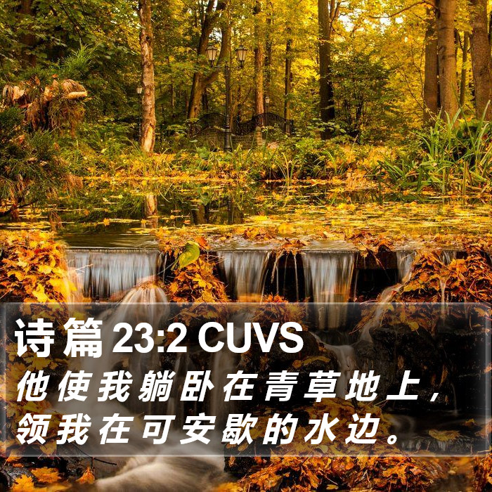 诗 篇 23:2 CUVS Bible Study