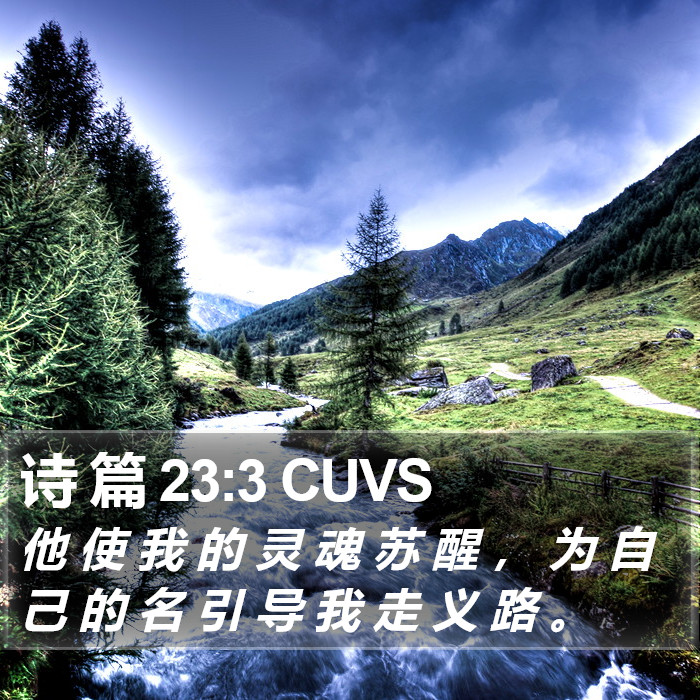 诗 篇 23:3 CUVS Bible Study