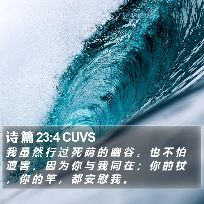 诗 篇 23:4 CUVS Bible Study