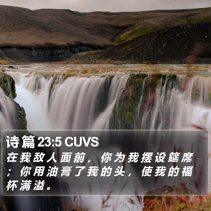 诗 篇 23:5 CUVS Bible Study