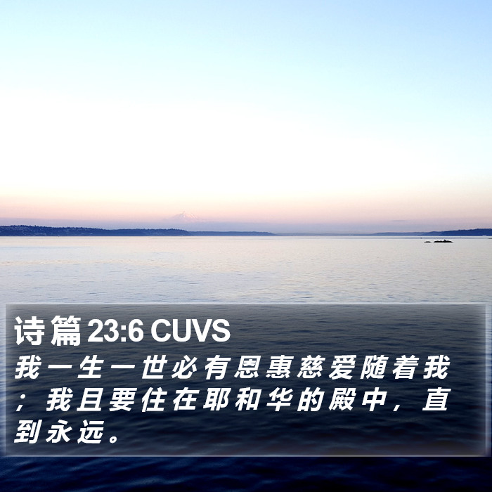 诗 篇 23:6 CUVS Bible Study