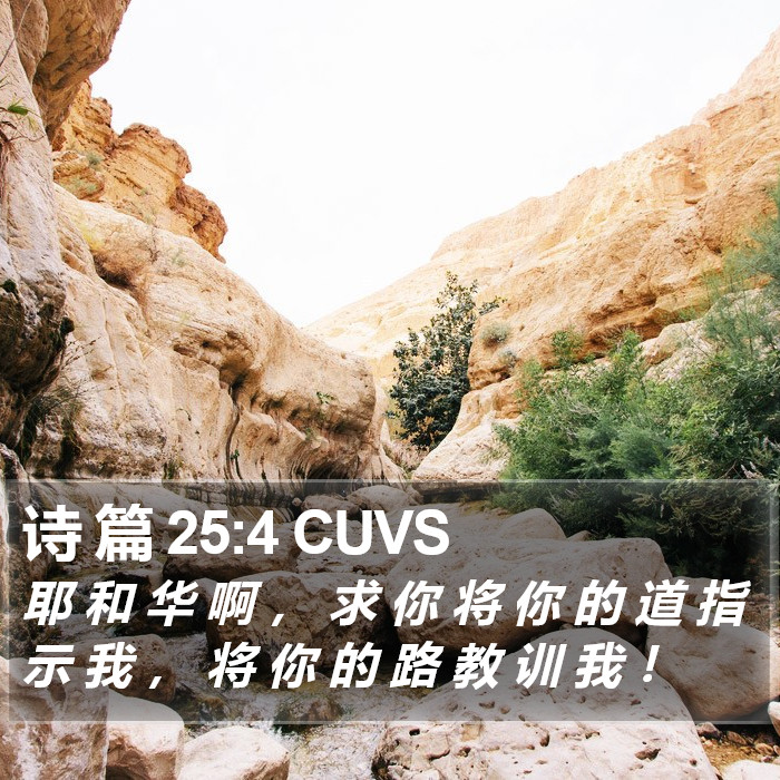 诗 篇 25:4 CUVS Bible Study