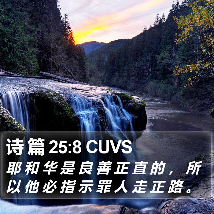 诗 篇 25:8 CUVS Bible Study