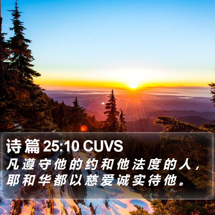 诗 篇 25:10 CUVS Bible Study
