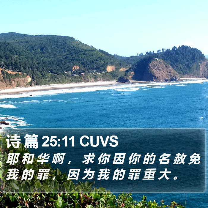 诗 篇 25:11 CUVS Bible Study