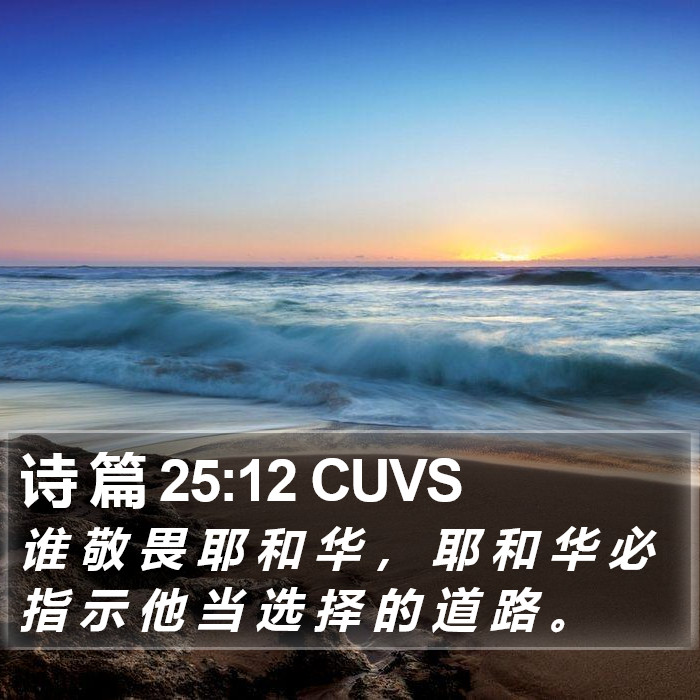 诗 篇 25:12 CUVS Bible Study