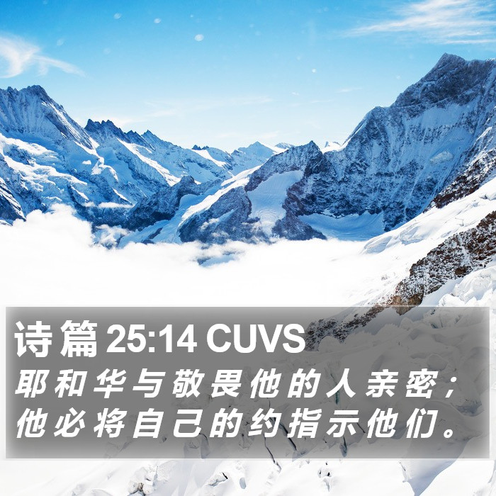 诗 篇 25:14 CUVS Bible Study