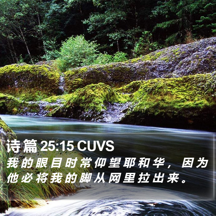诗 篇 25:15 CUVS Bible Study