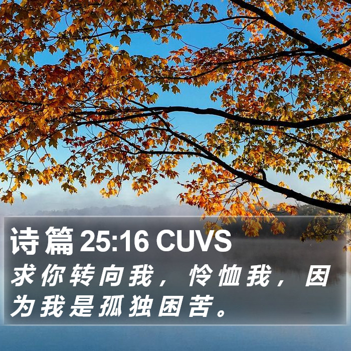 诗 篇 25:16 CUVS Bible Study