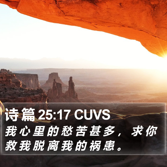 诗 篇 25:17 CUVS Bible Study