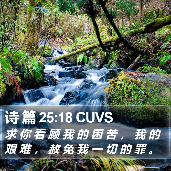 诗 篇 25:18 CUVS Bible Study