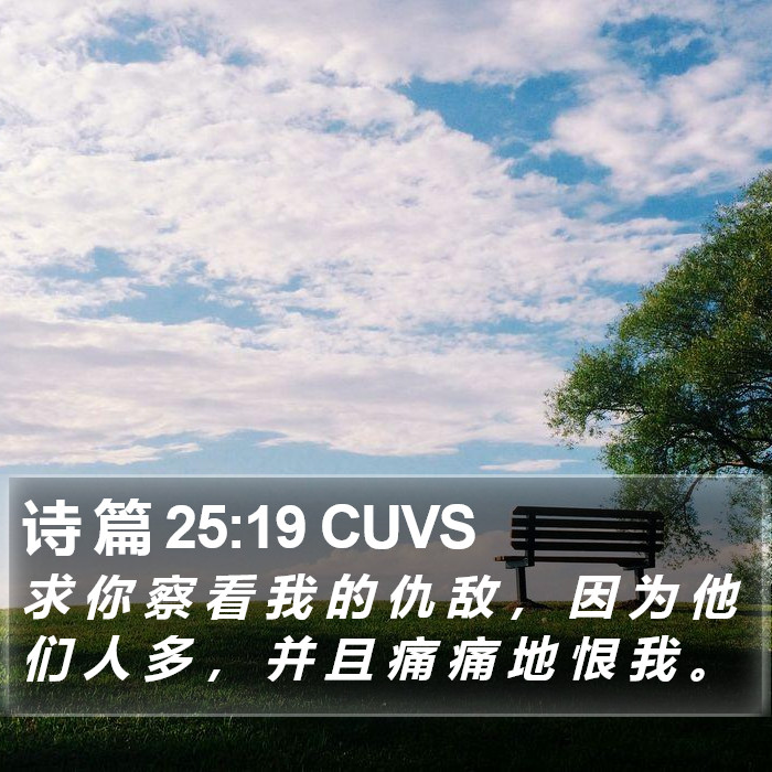 诗 篇 25:19 CUVS Bible Study