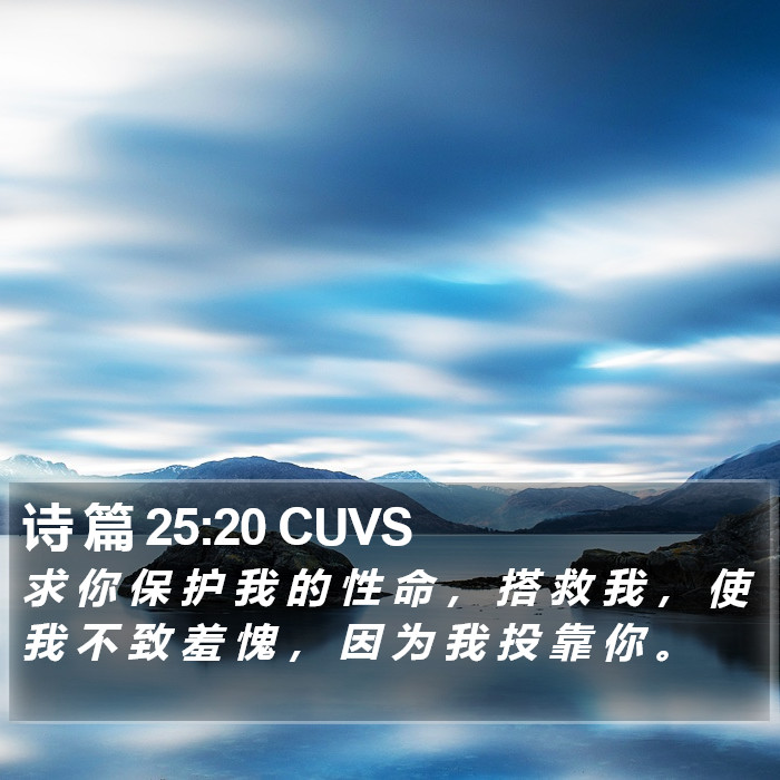 诗 篇 25:20 CUVS Bible Study