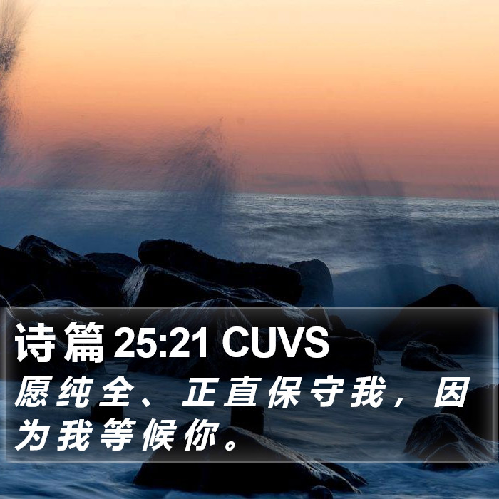 诗 篇 25:21 CUVS Bible Study