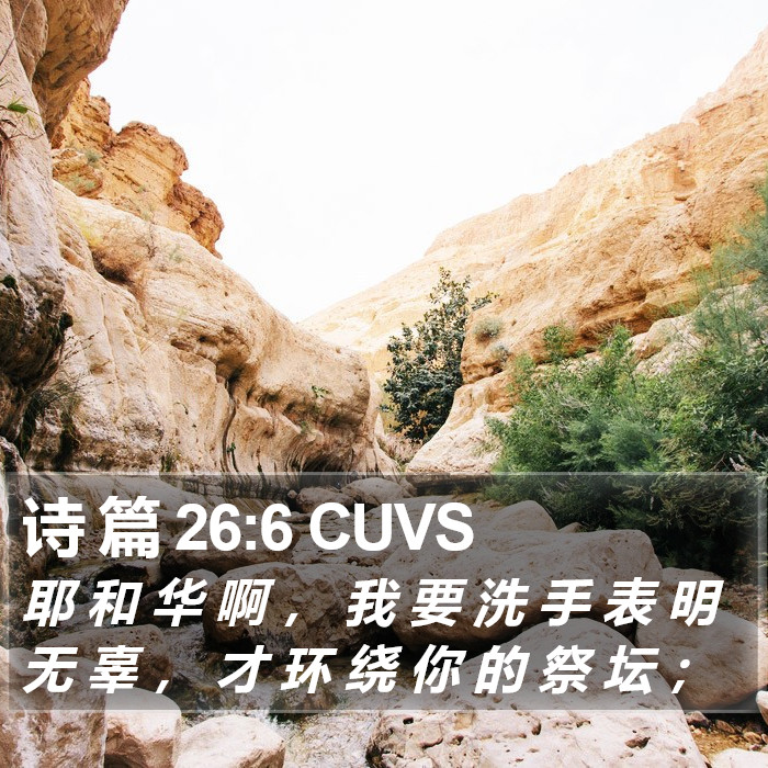 诗 篇 26:6 CUVS Bible Study