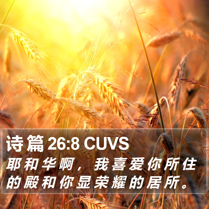 诗 篇 26:8 CUVS Bible Study