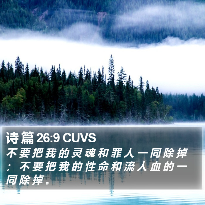 诗 篇 26:9 CUVS Bible Study