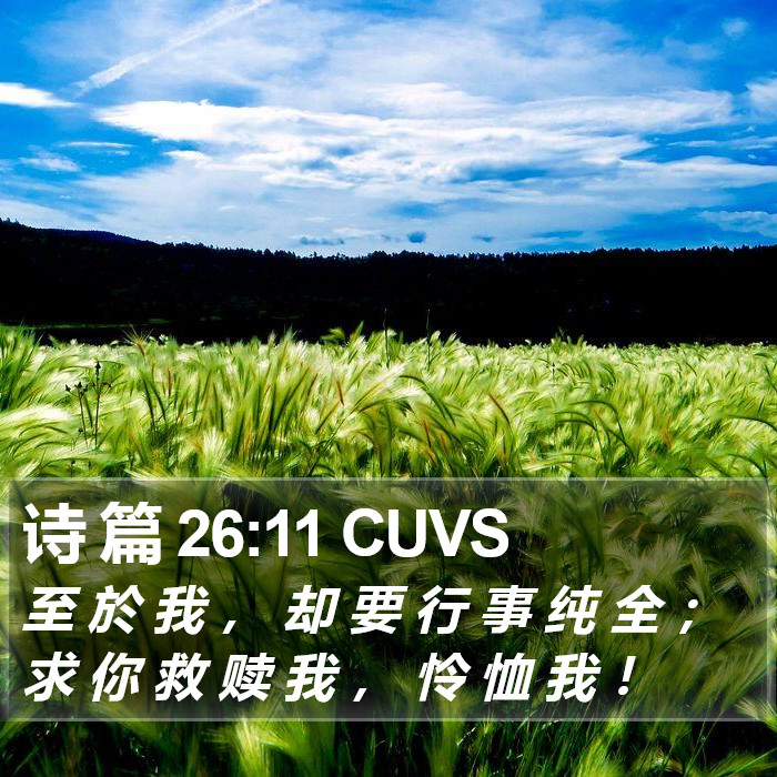 诗 篇 26:11 CUVS Bible Study