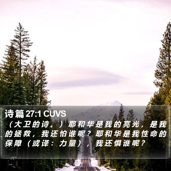 诗 篇 27:1 CUVS Bible Study