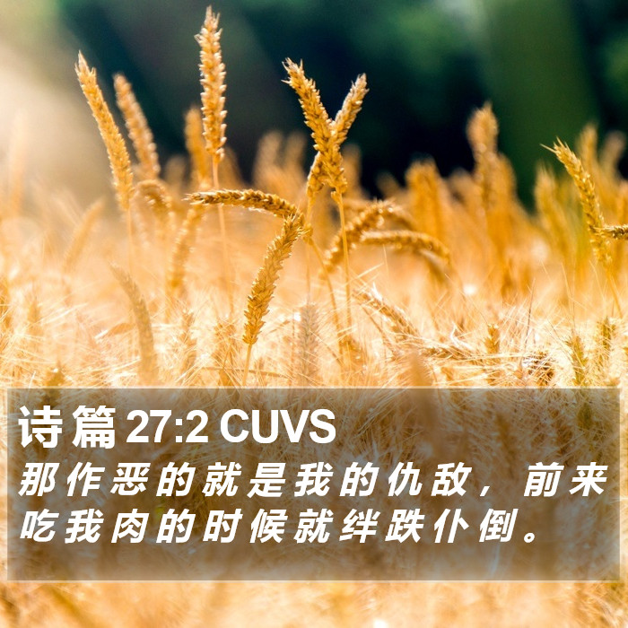 诗 篇 27:2 CUVS Bible Study