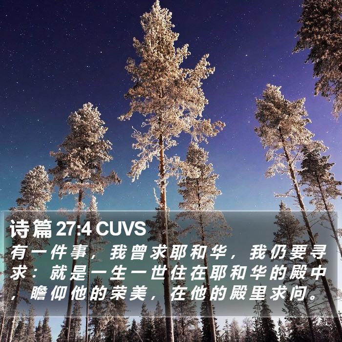 诗 篇 27:4 CUVS Bible Study