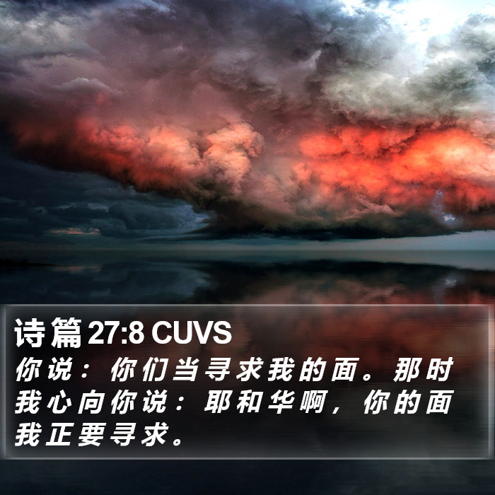 诗 篇 27:8 CUVS Bible Study