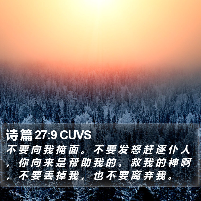 诗 篇 27:9 CUVS Bible Study