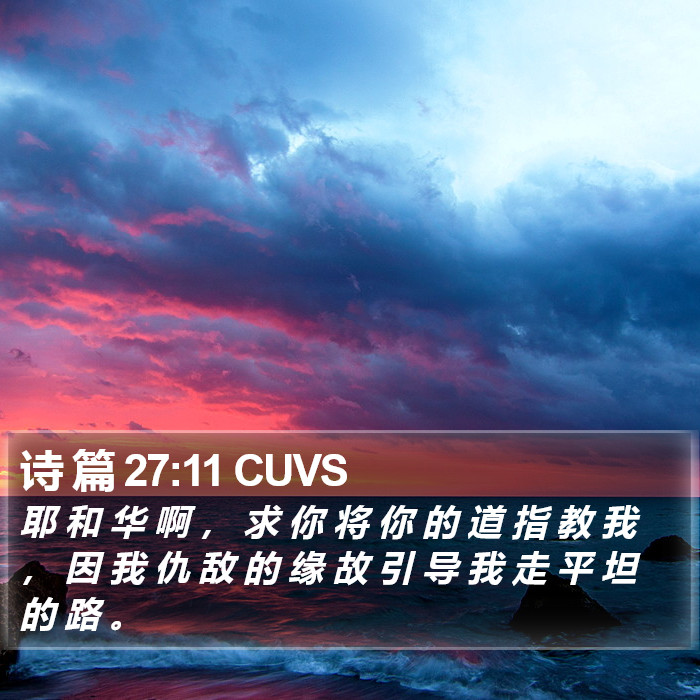 诗 篇 27:11 CUVS Bible Study