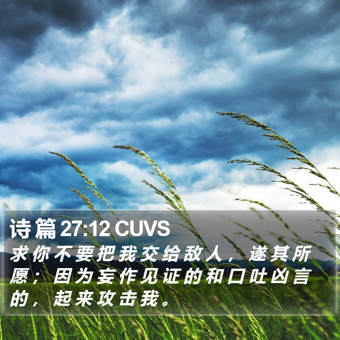 诗 篇 27:12 CUVS Bible Study