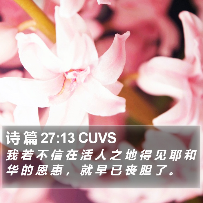 诗 篇 27:13 CUVS Bible Study