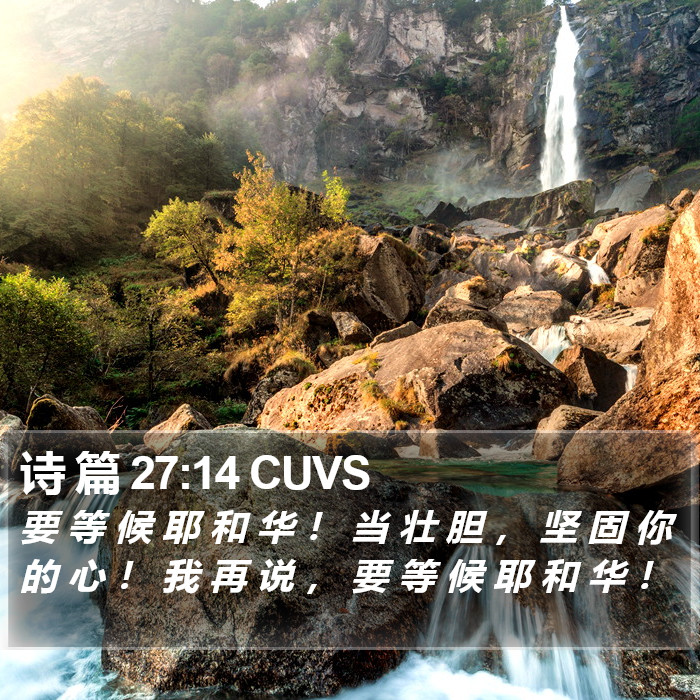 诗 篇 27:14 CUVS Bible Study