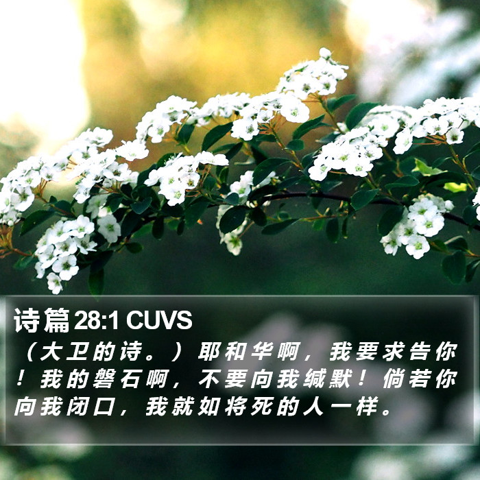 诗 篇 28:1 CUVS Bible Study