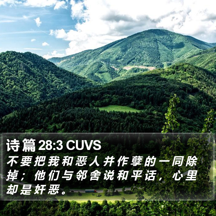 诗 篇 28:3 CUVS Bible Study